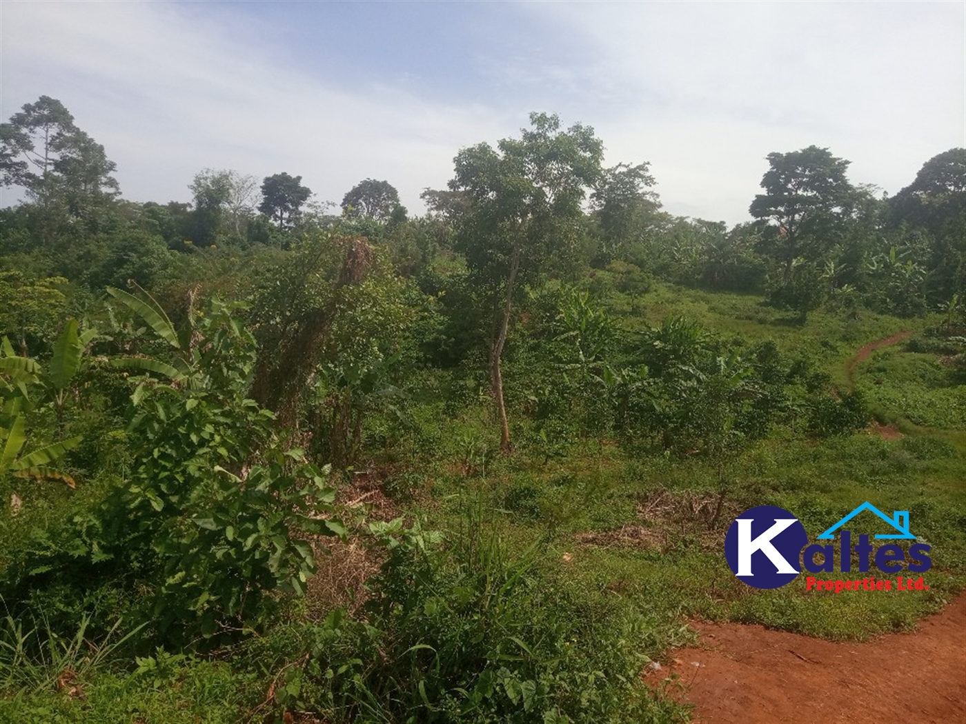 Agricultural Land for sale in Kalenge Kayunga