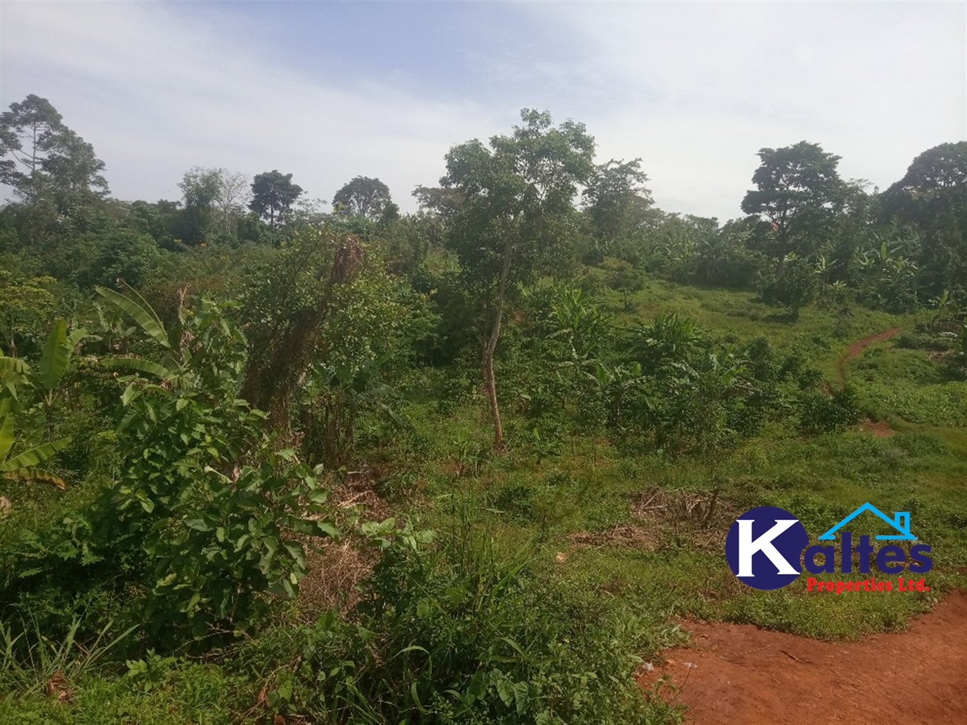 Agricultural Land for sale in Kalenge Kayunga