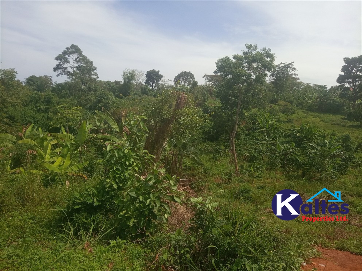 Agricultural Land for sale in Kalenge Kayunga