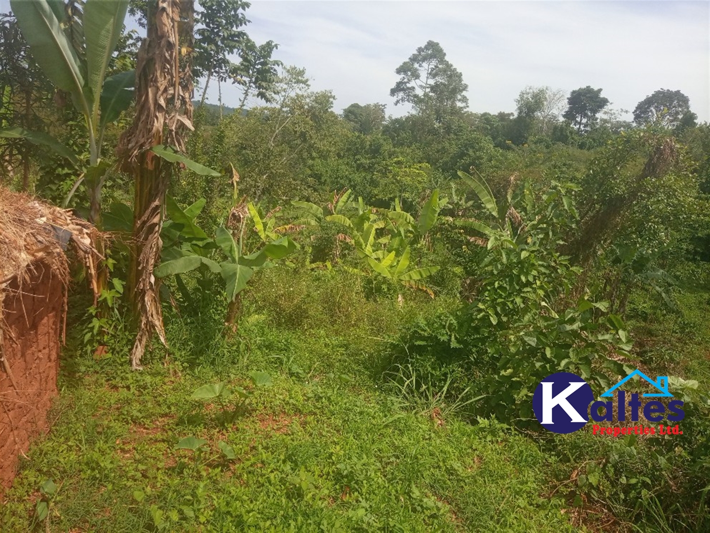 Agricultural Land for sale in Kalenge Kayunga