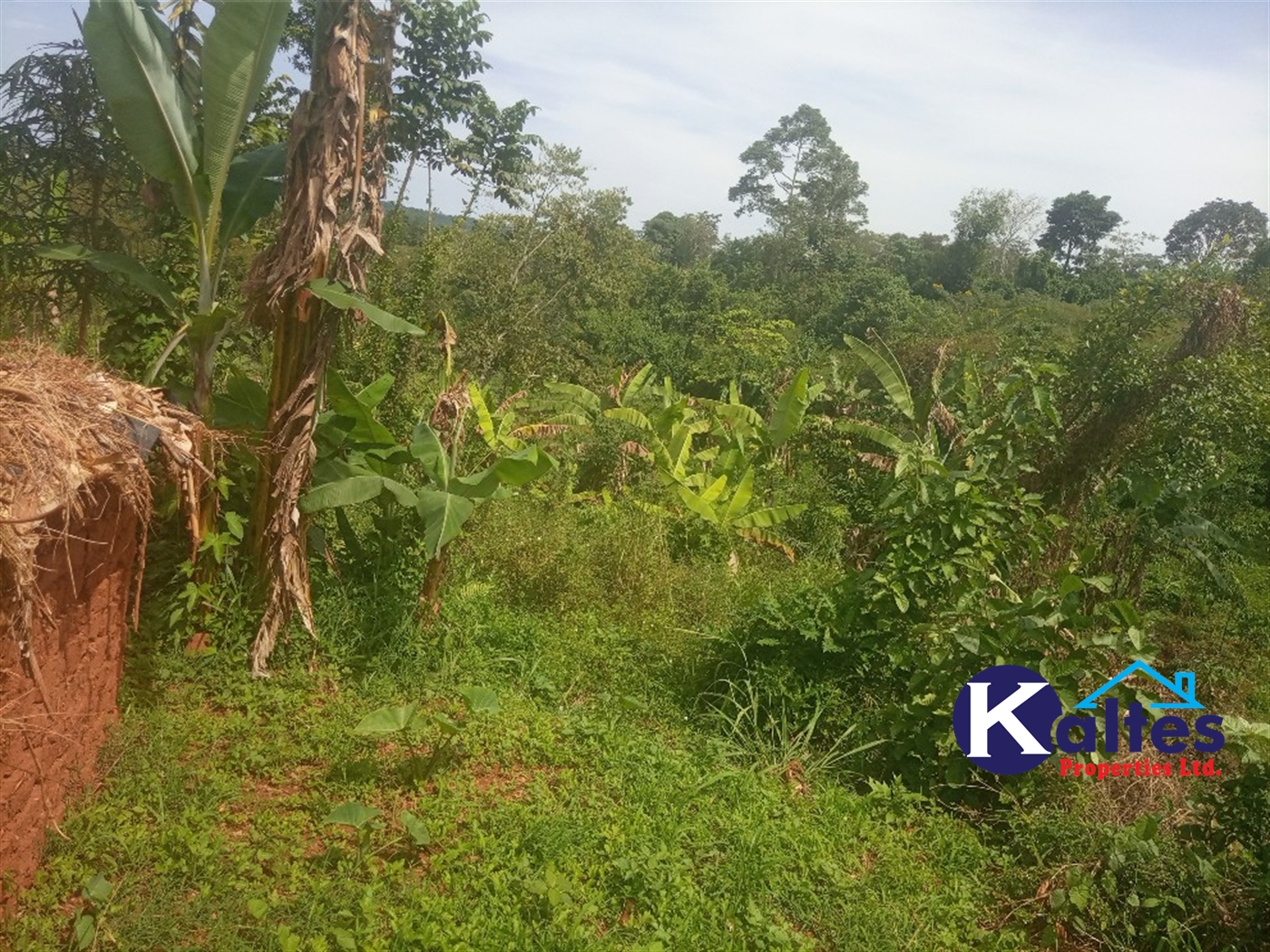 Agricultural Land for sale in Kalenge Kayunga