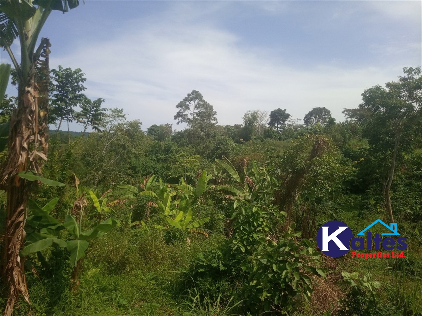 Agricultural Land for sale in Kalenge Kayunga