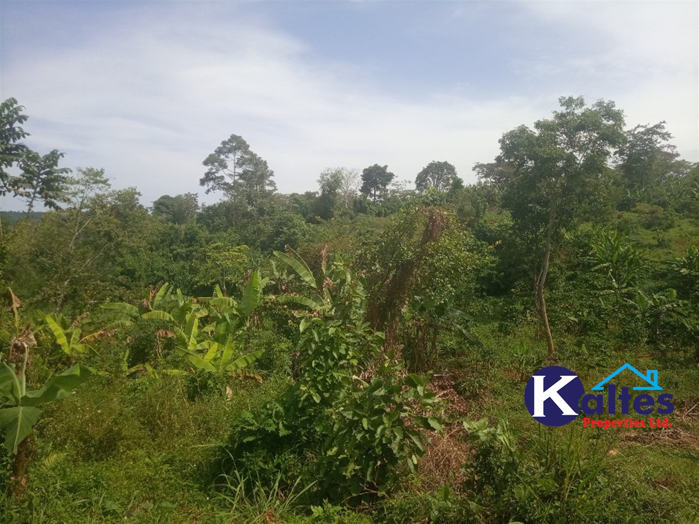 Agricultural Land for sale in Kalenge Kayunga