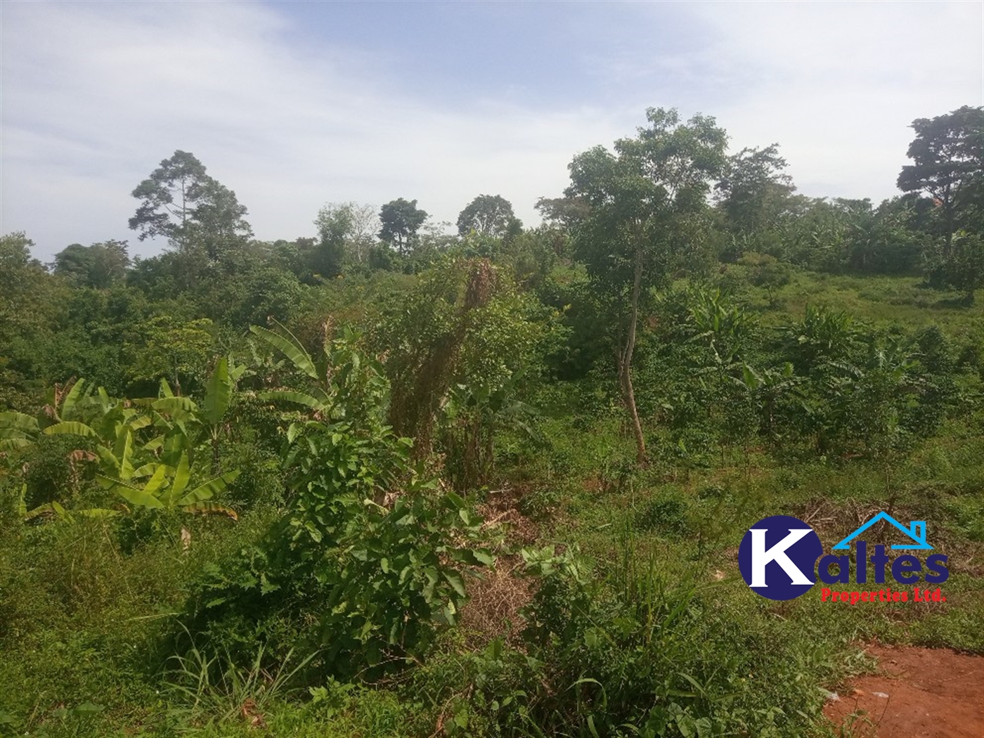 Agricultural Land for sale in Kalenge Kayunga