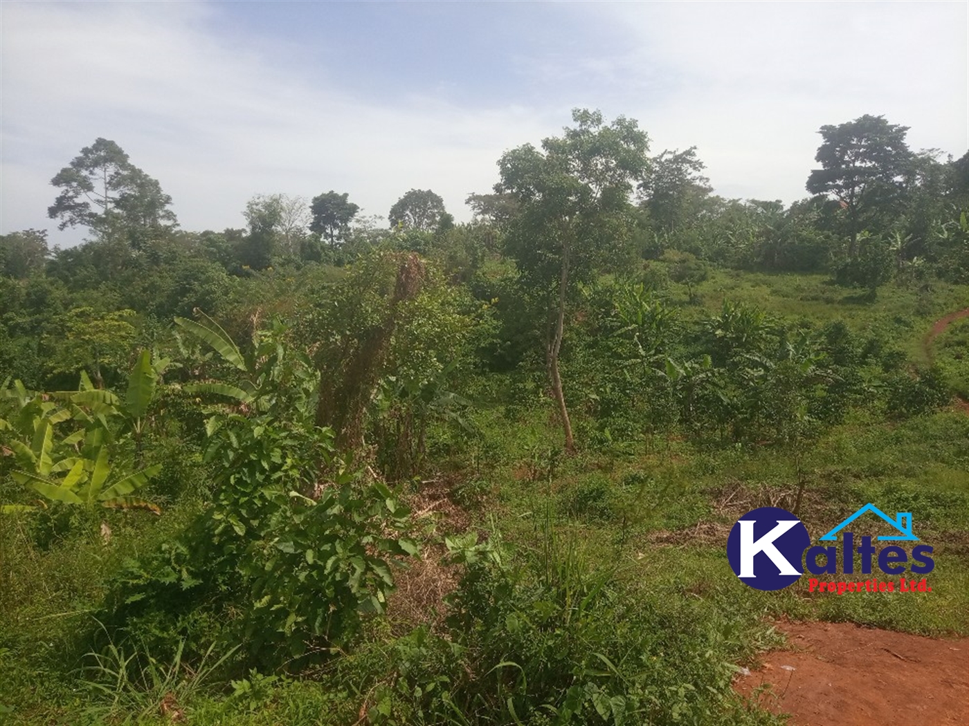 Agricultural Land for sale in Kalenge Kayunga