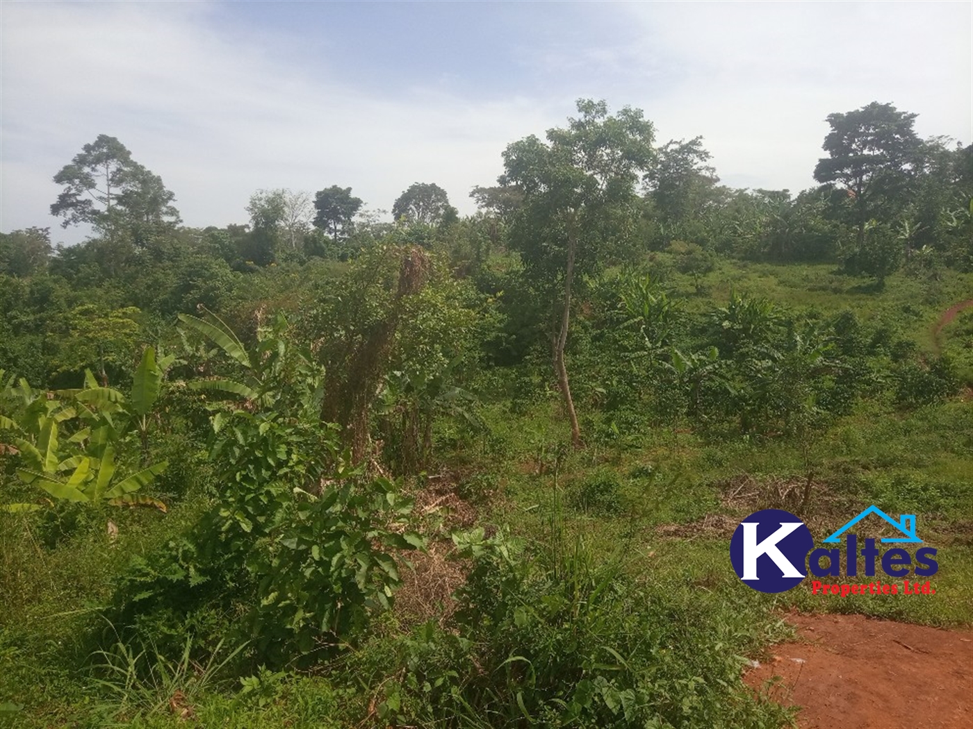 Agricultural Land for sale in Kalenge Kayunga