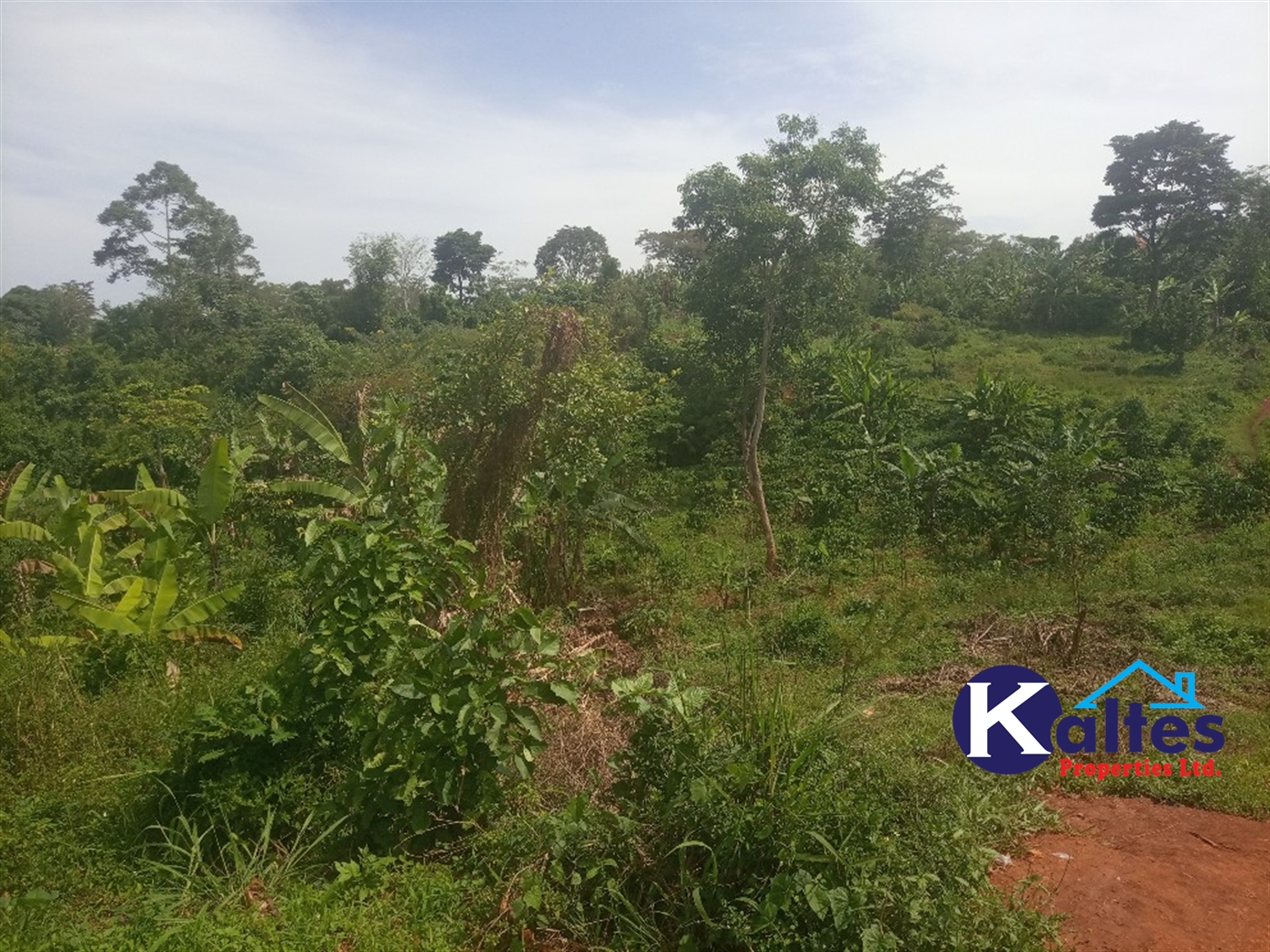 Agricultural Land for sale in Kalenge Kayunga