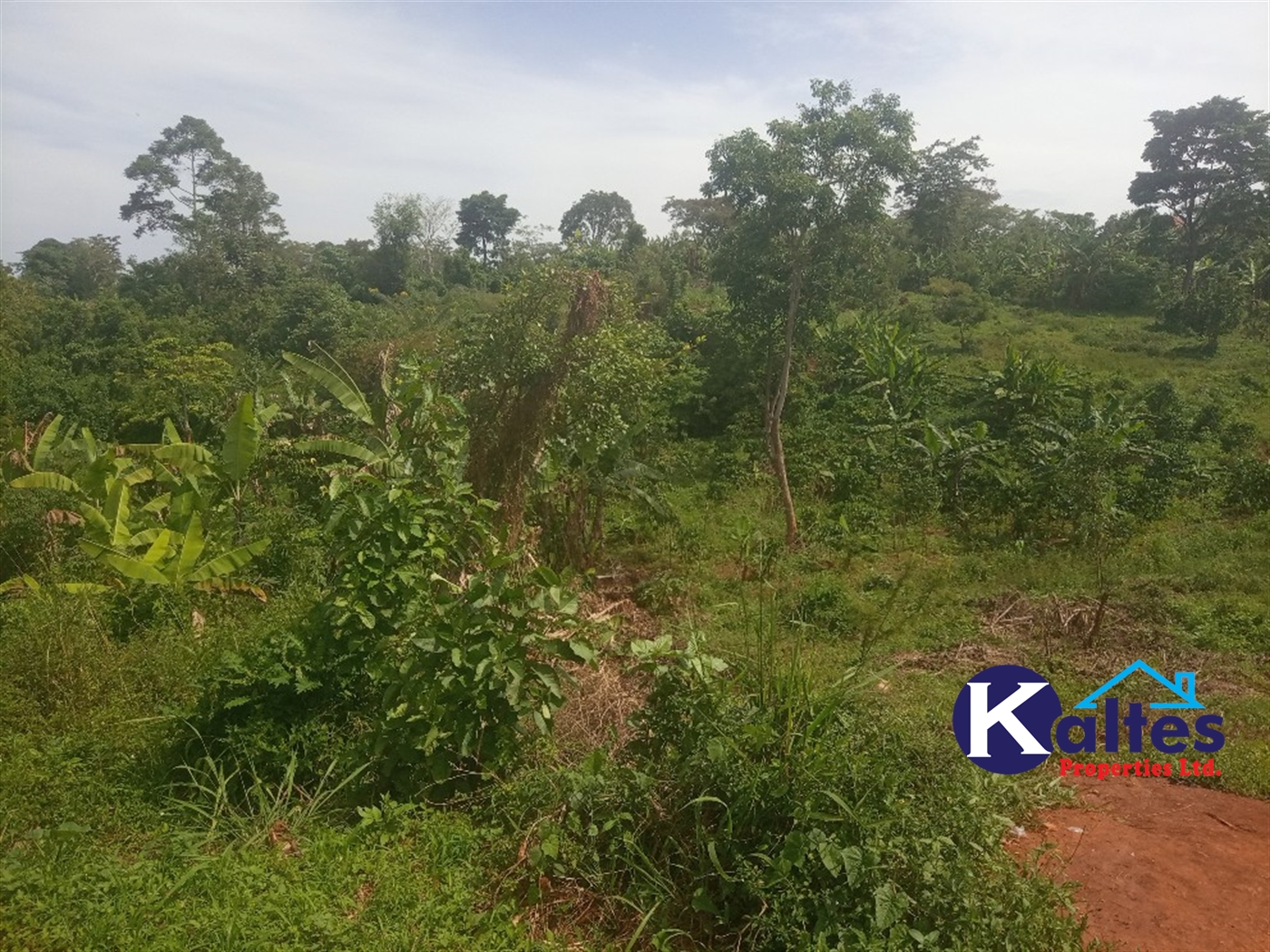 Agricultural Land for sale in Kalenge Kayunga