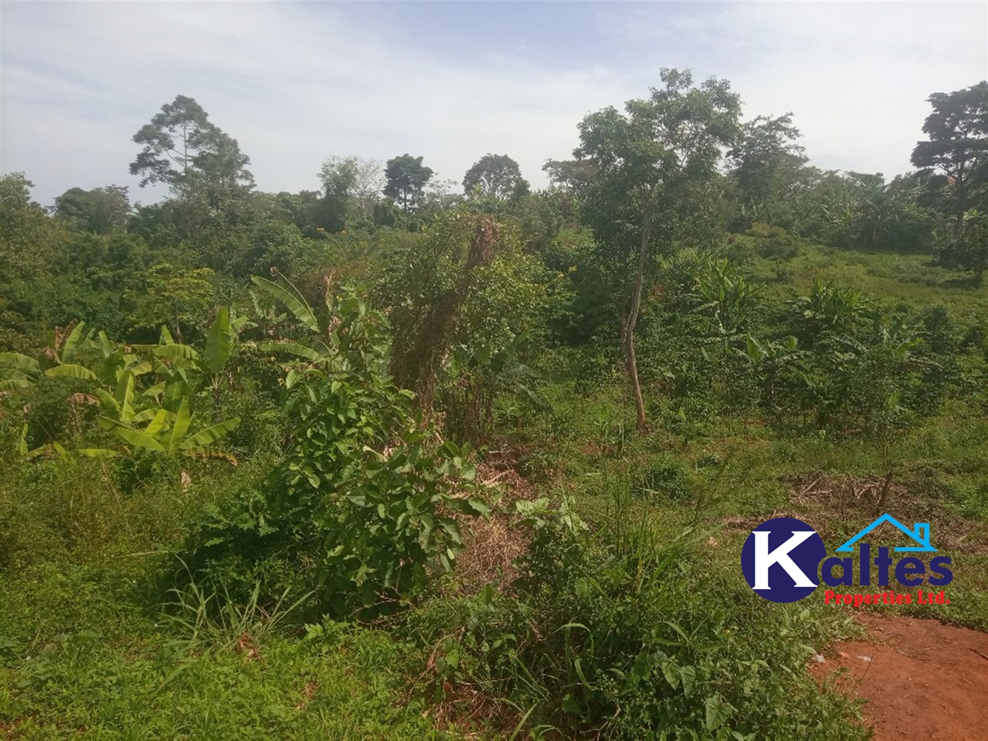 Agricultural Land for sale in Kalenge Kayunga