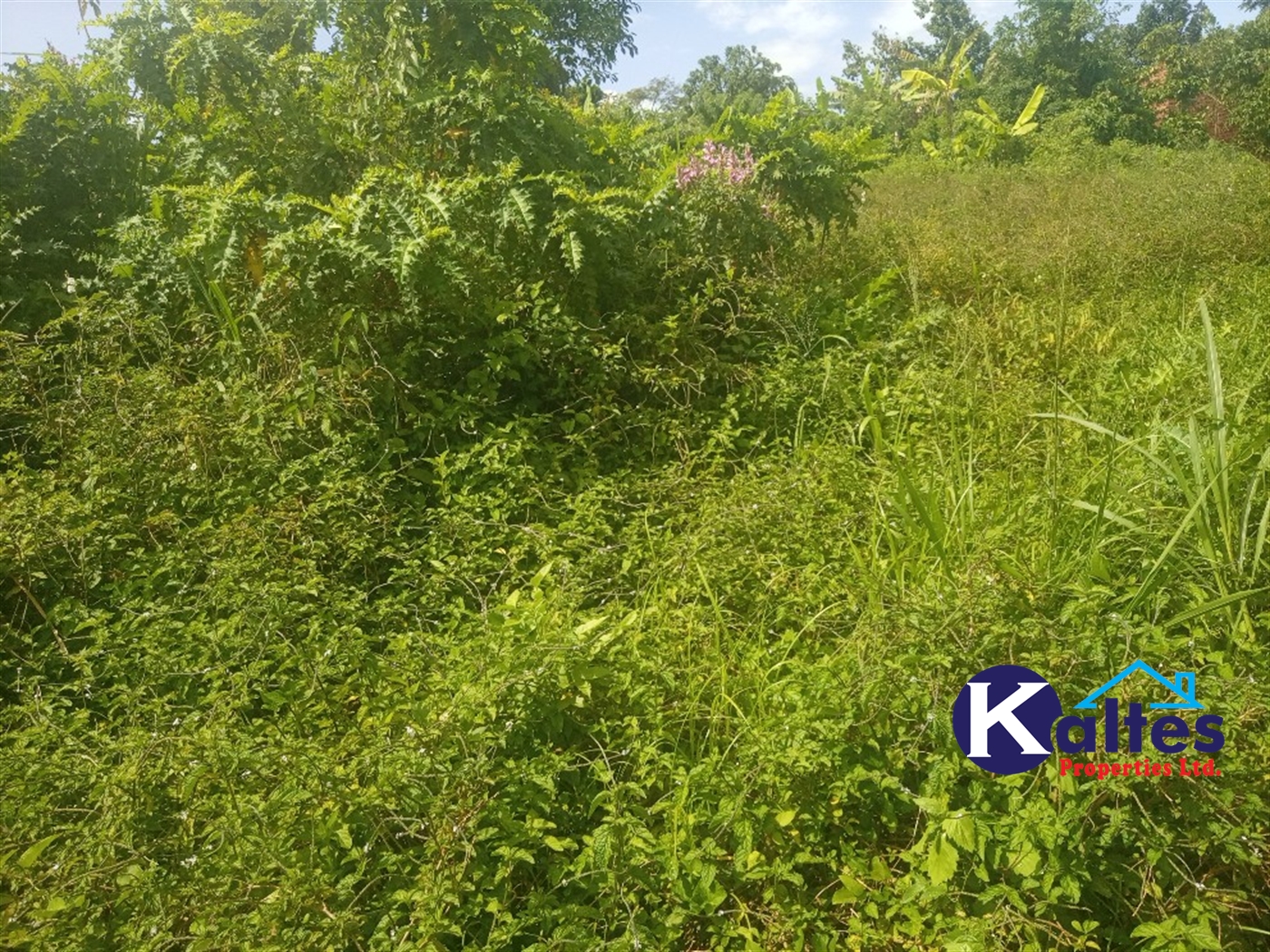 Agricultural Land for sale in Kalenge Kayunga