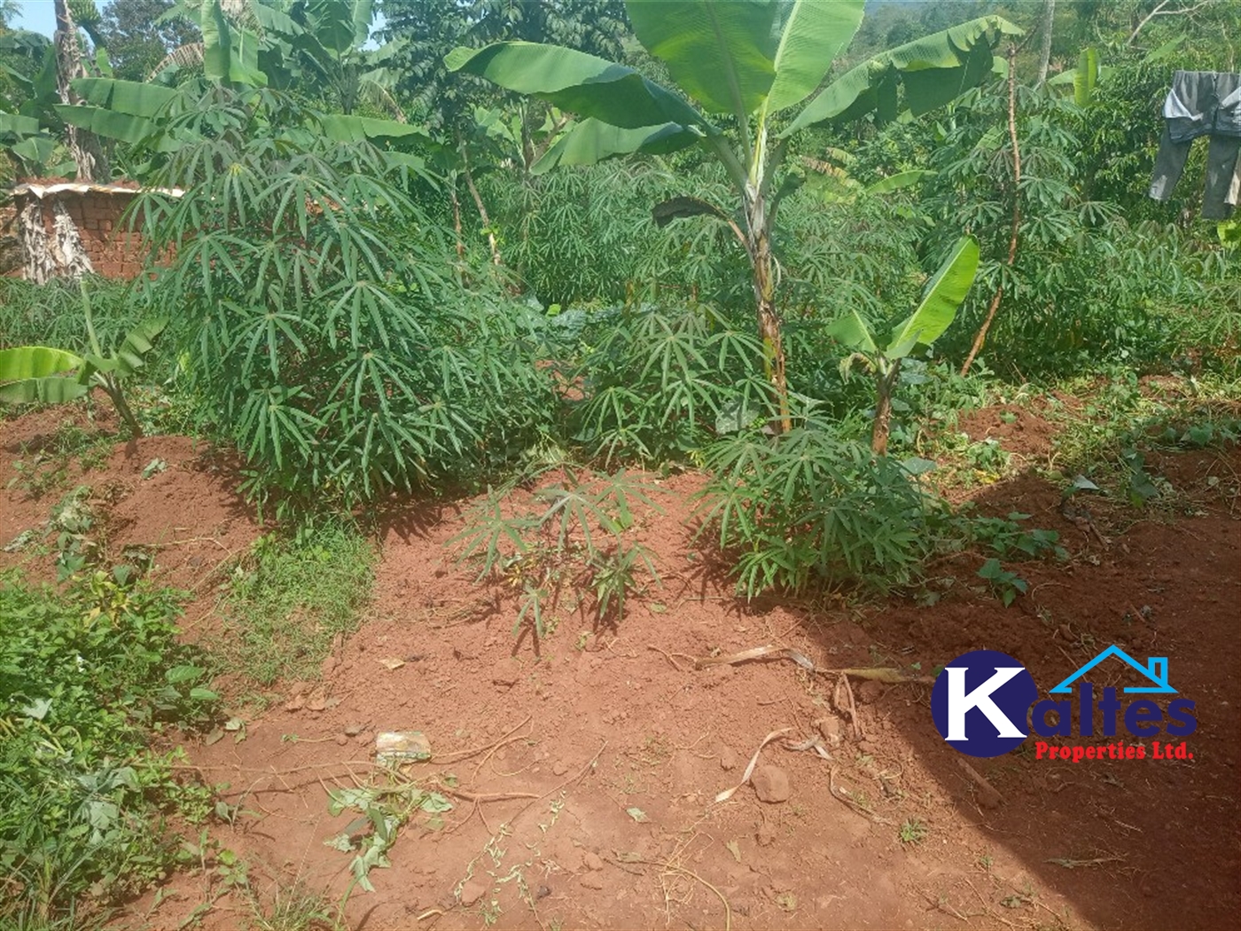 Agricultural Land for sale in Kalenge Kayunga