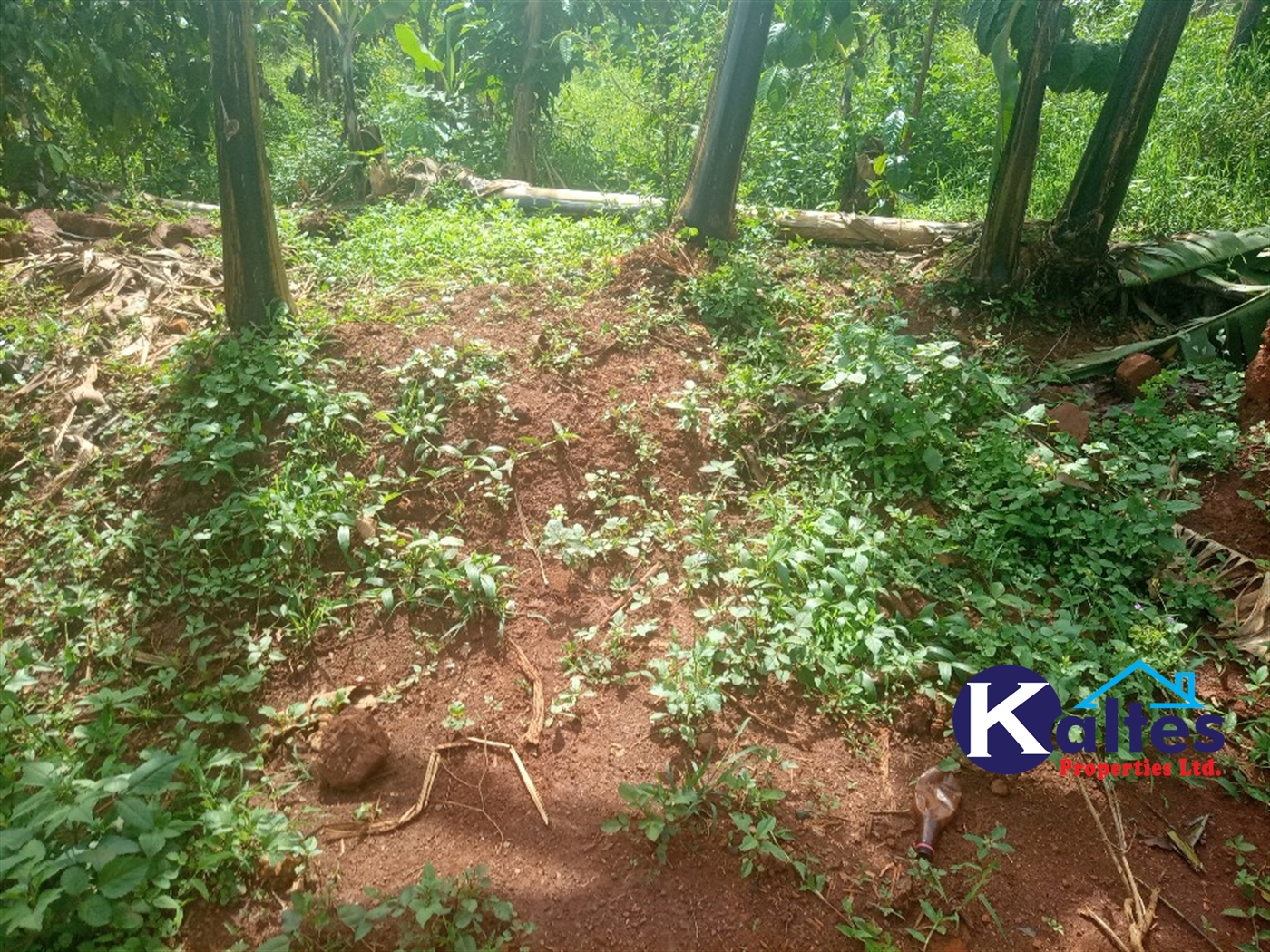 Agricultural Land for sale in Kalenge Kayunga