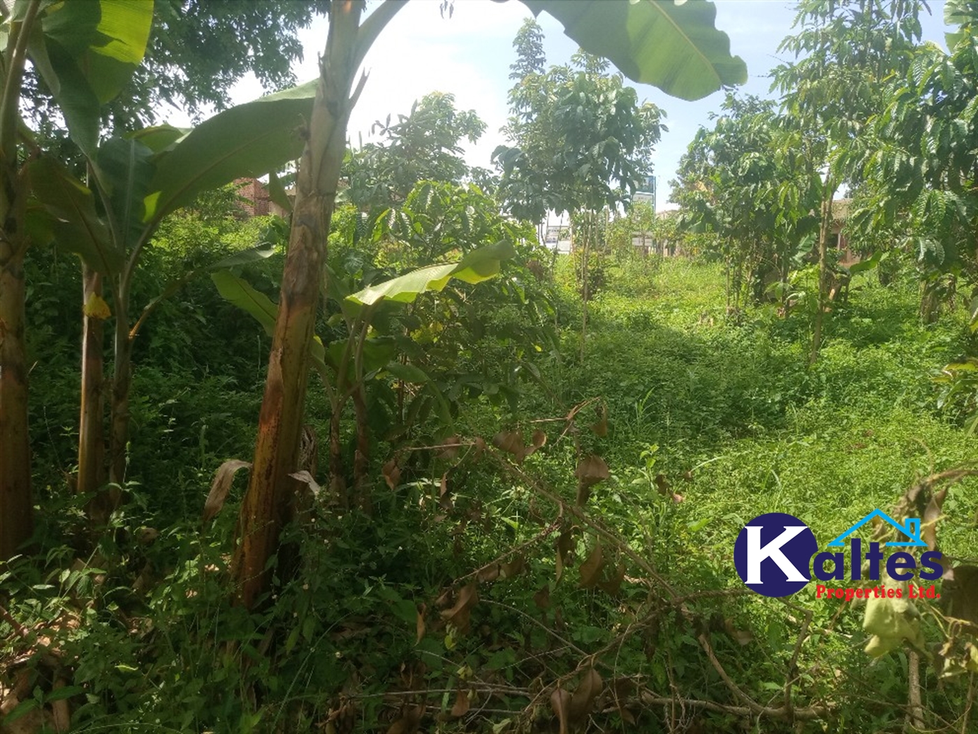 Agricultural Land for sale in Kamusabi Kayunga