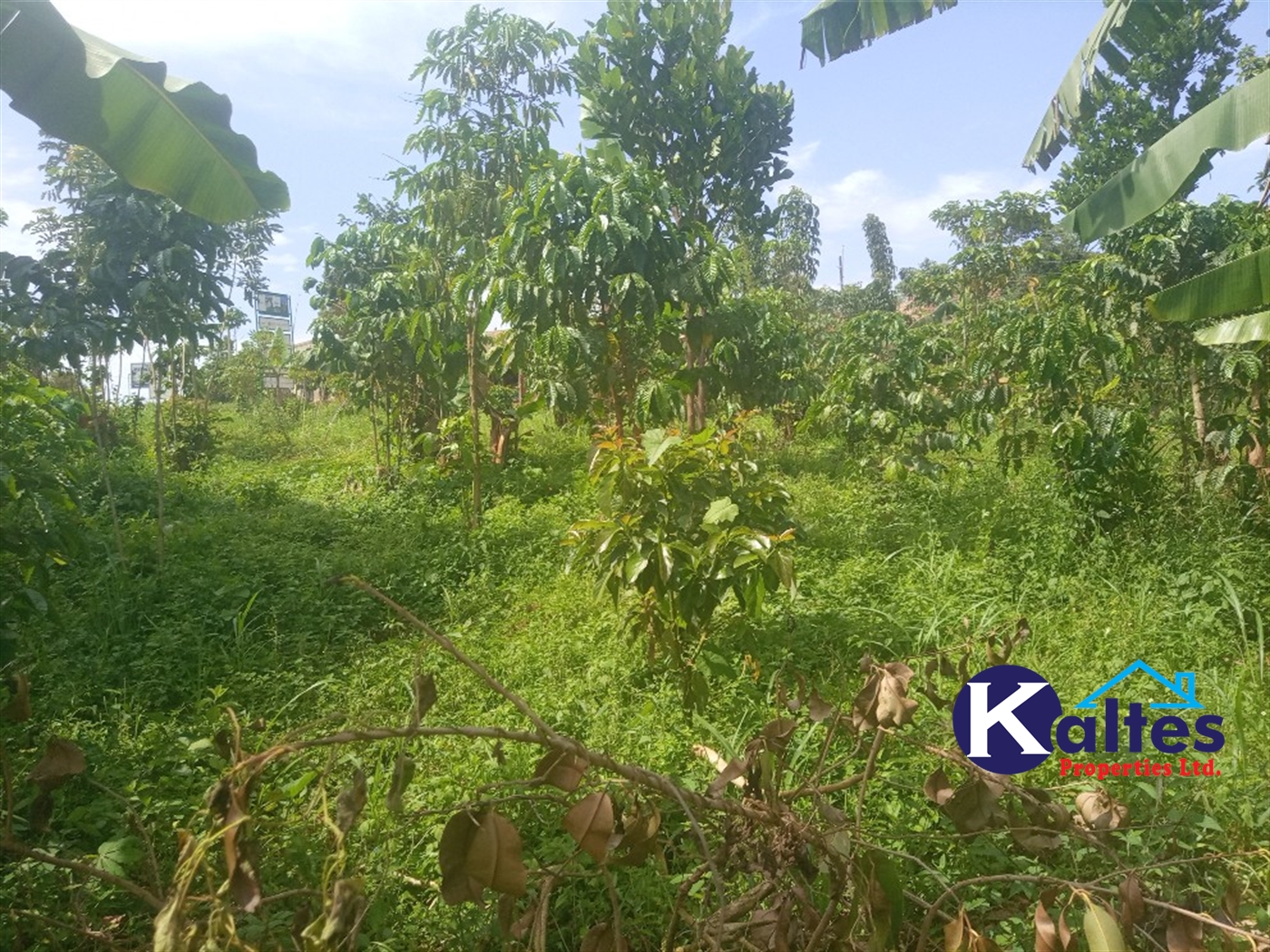 Agricultural Land for sale in Kamusabi Kayunga