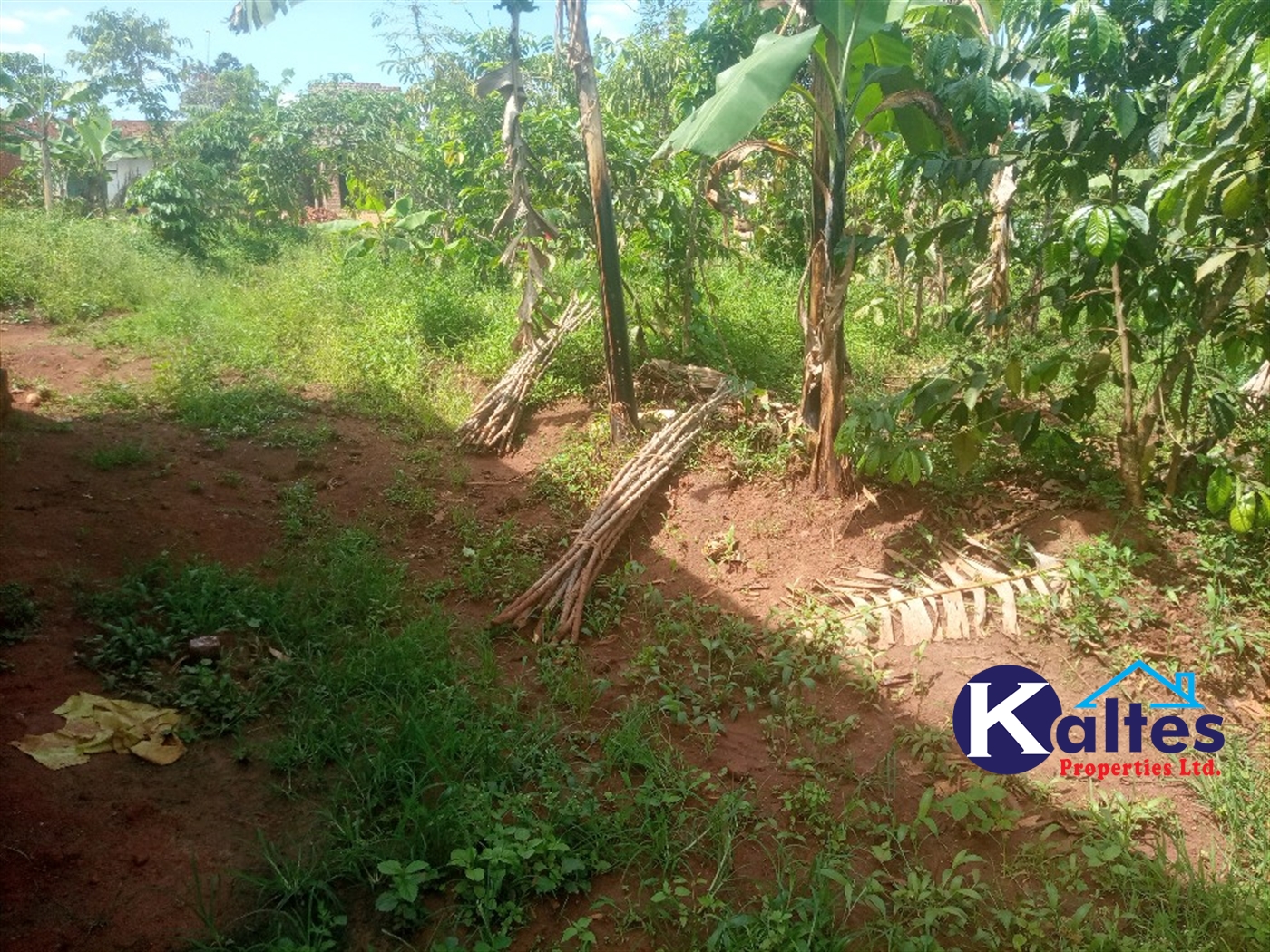 Agricultural Land for sale in Kangulumira Kayunga