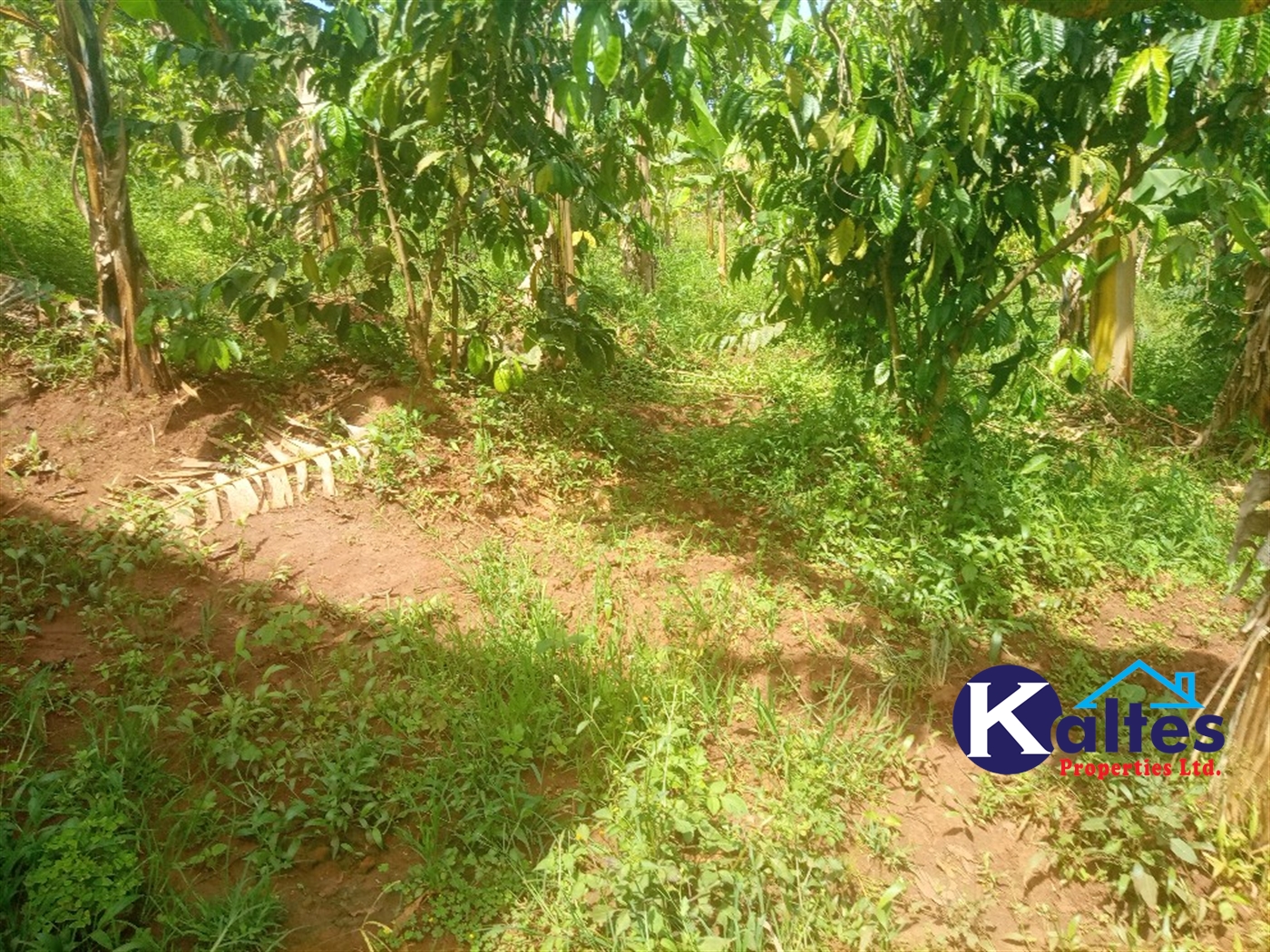 Agricultural Land for sale in Kangulumira Kayunga