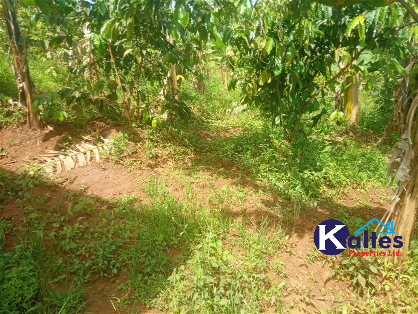 Agricultural Land for sale in Kangulumira Kayunga