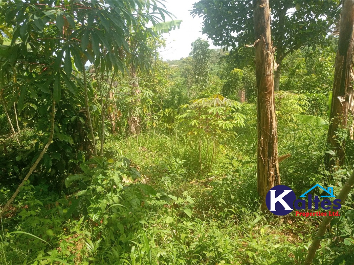 Agricultural Land for sale in Kangulumira Kayunga