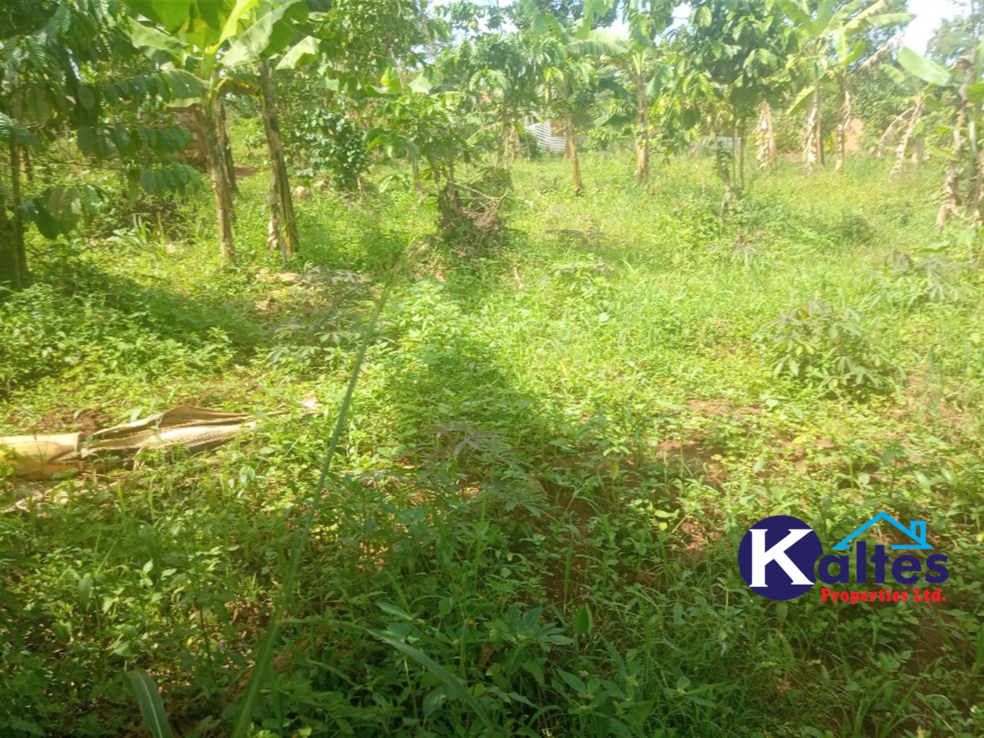 Agricultural Land for sale in Kangulumira Kayunga