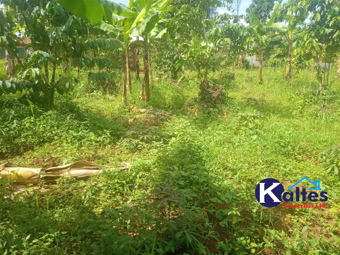 Agricultural Land for sale in Kangulumira Kayunga