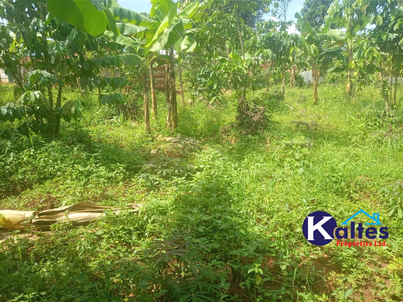 Agricultural Land for sale in Kangulumira Kayunga