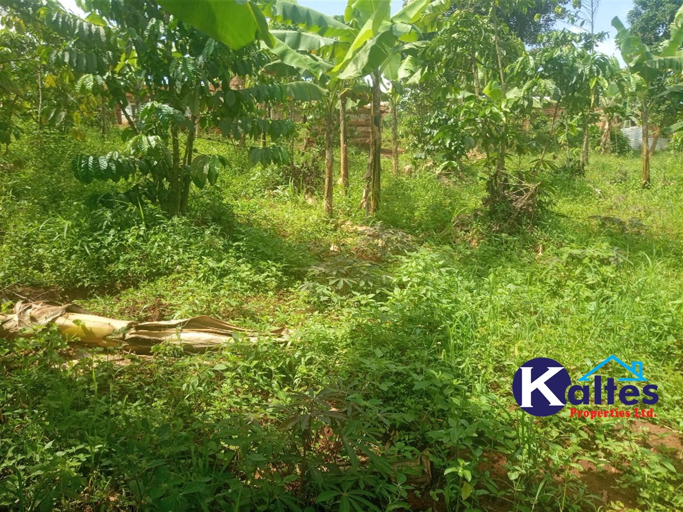 Agricultural Land for sale in Kangulumira Kayunga