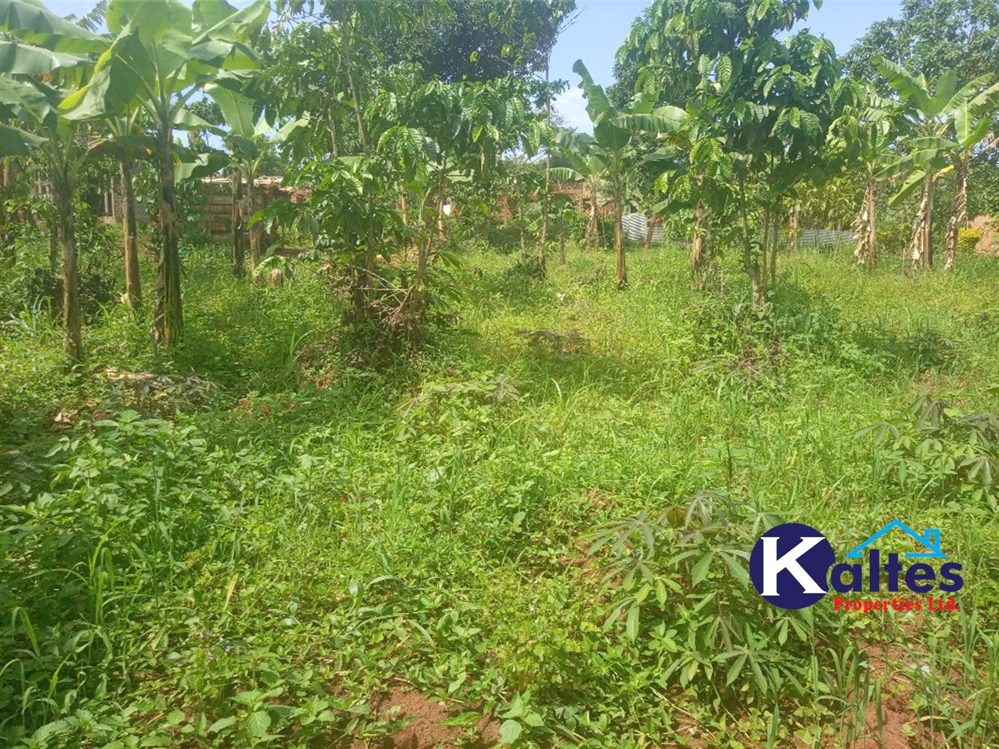 Agricultural Land for sale in Kangulumira Kayunga