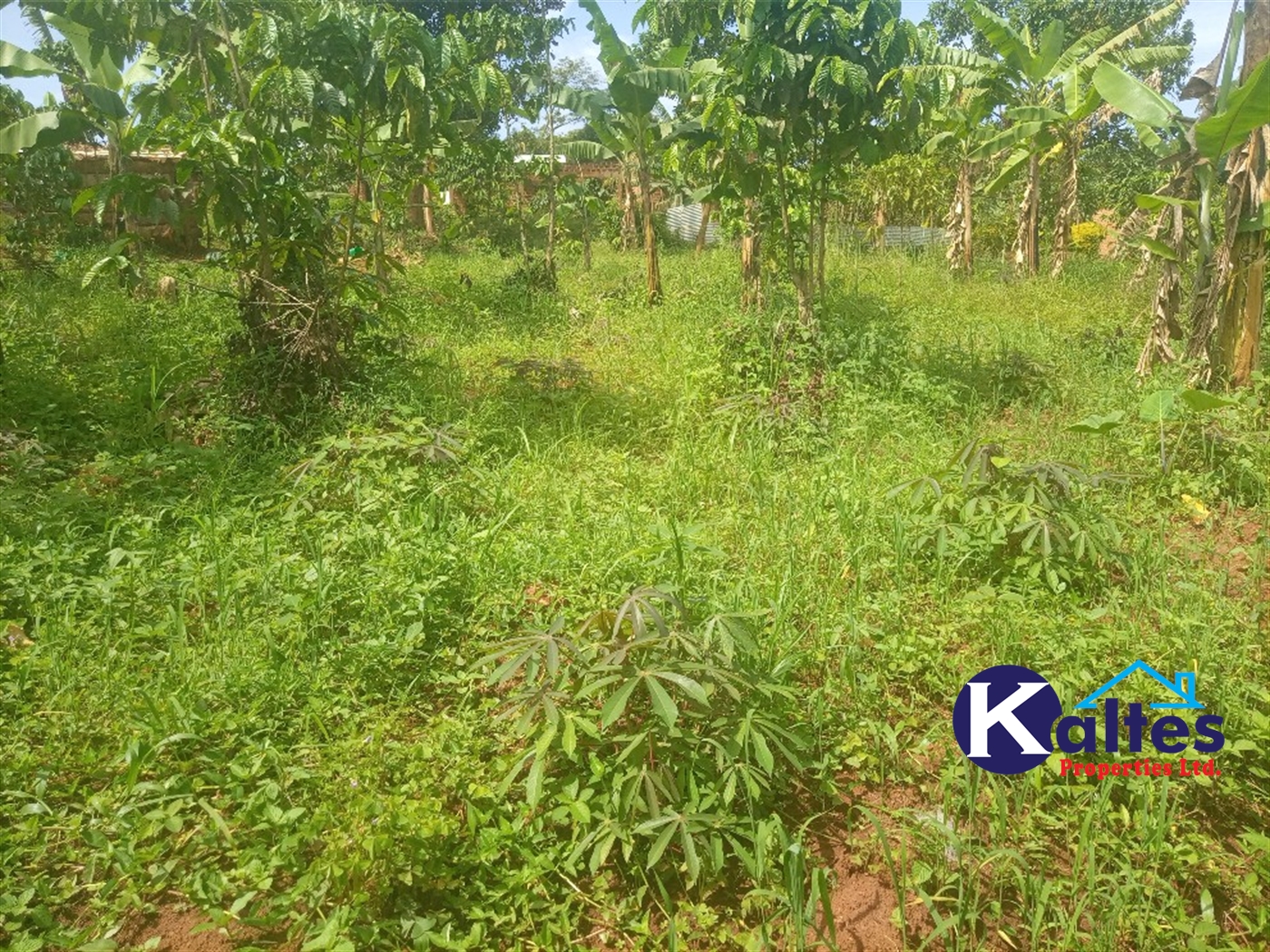 Agricultural Land for sale in Kangulumira Kayunga