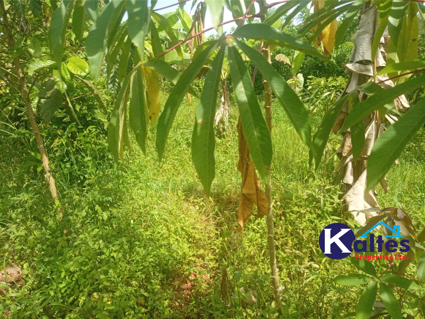 Agricultural Land for sale in Kangulumira Kayunga