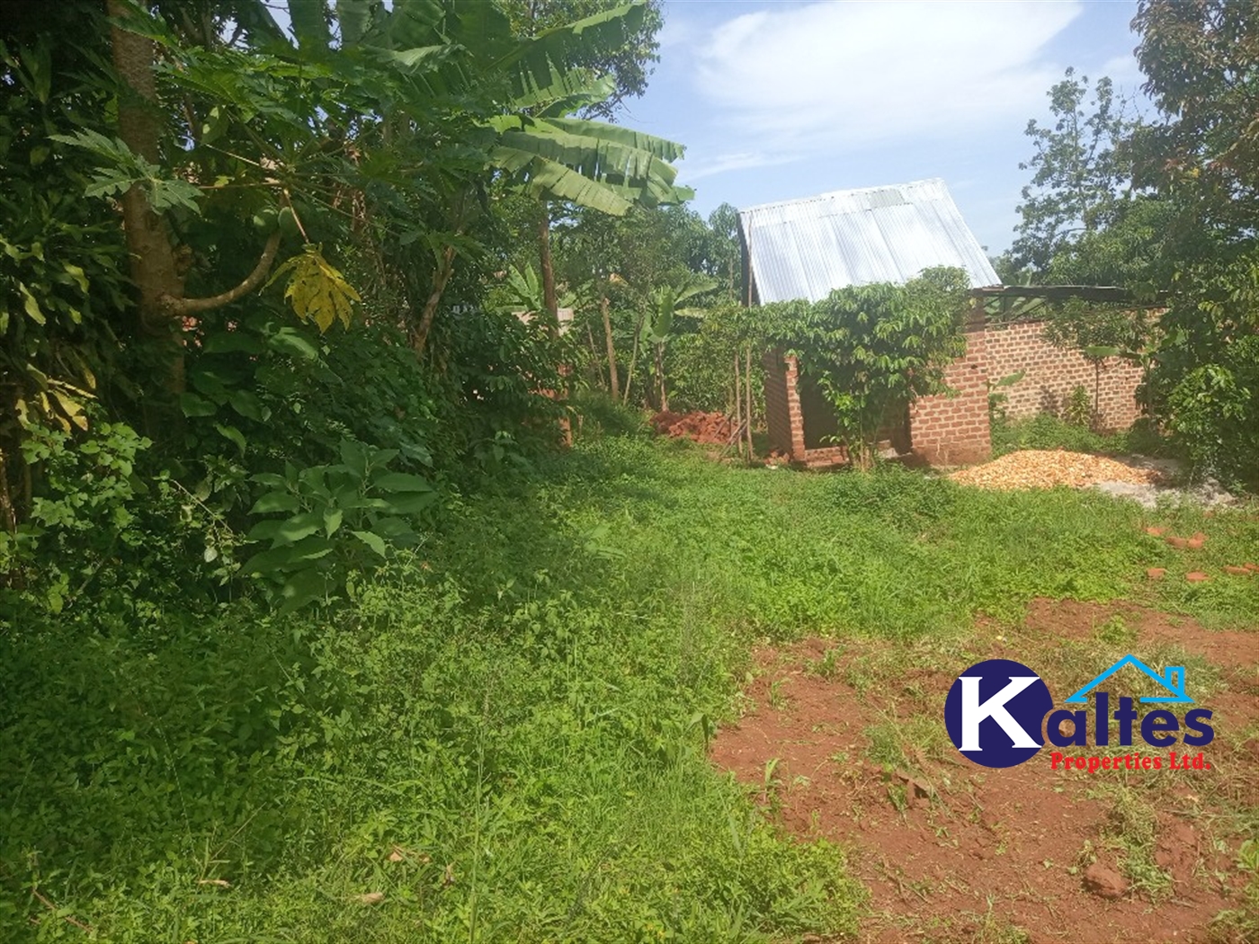 Agricultural Land for sale in Kanjuki Kayunga