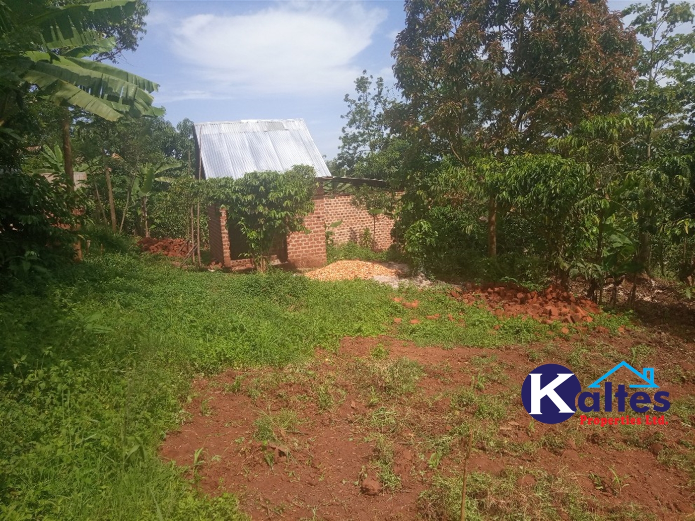 Agricultural Land for sale in Kanjuki Kayunga