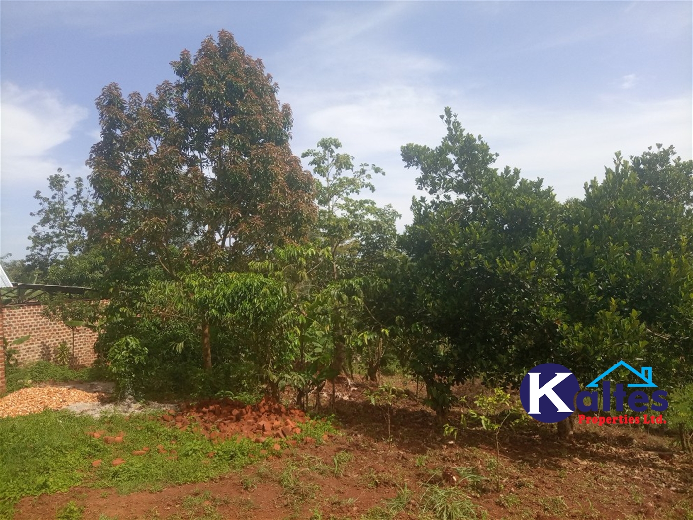 Agricultural Land for sale in Kanjuki Kayunga