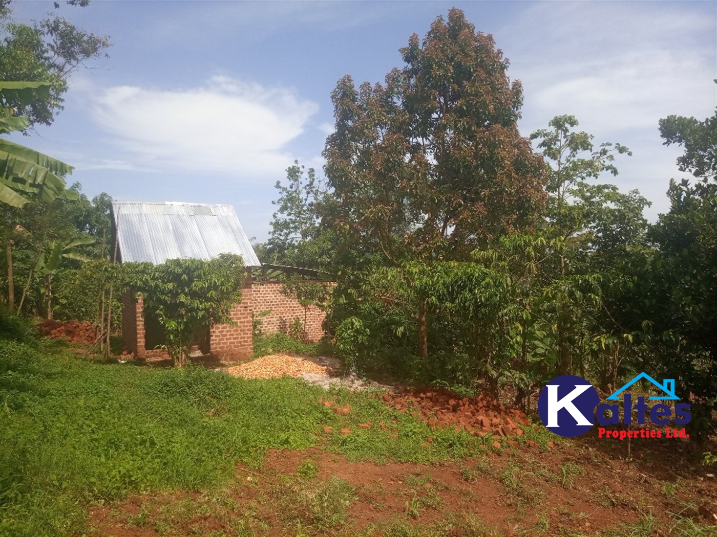 Agricultural Land for sale in Kanjuki Kayunga