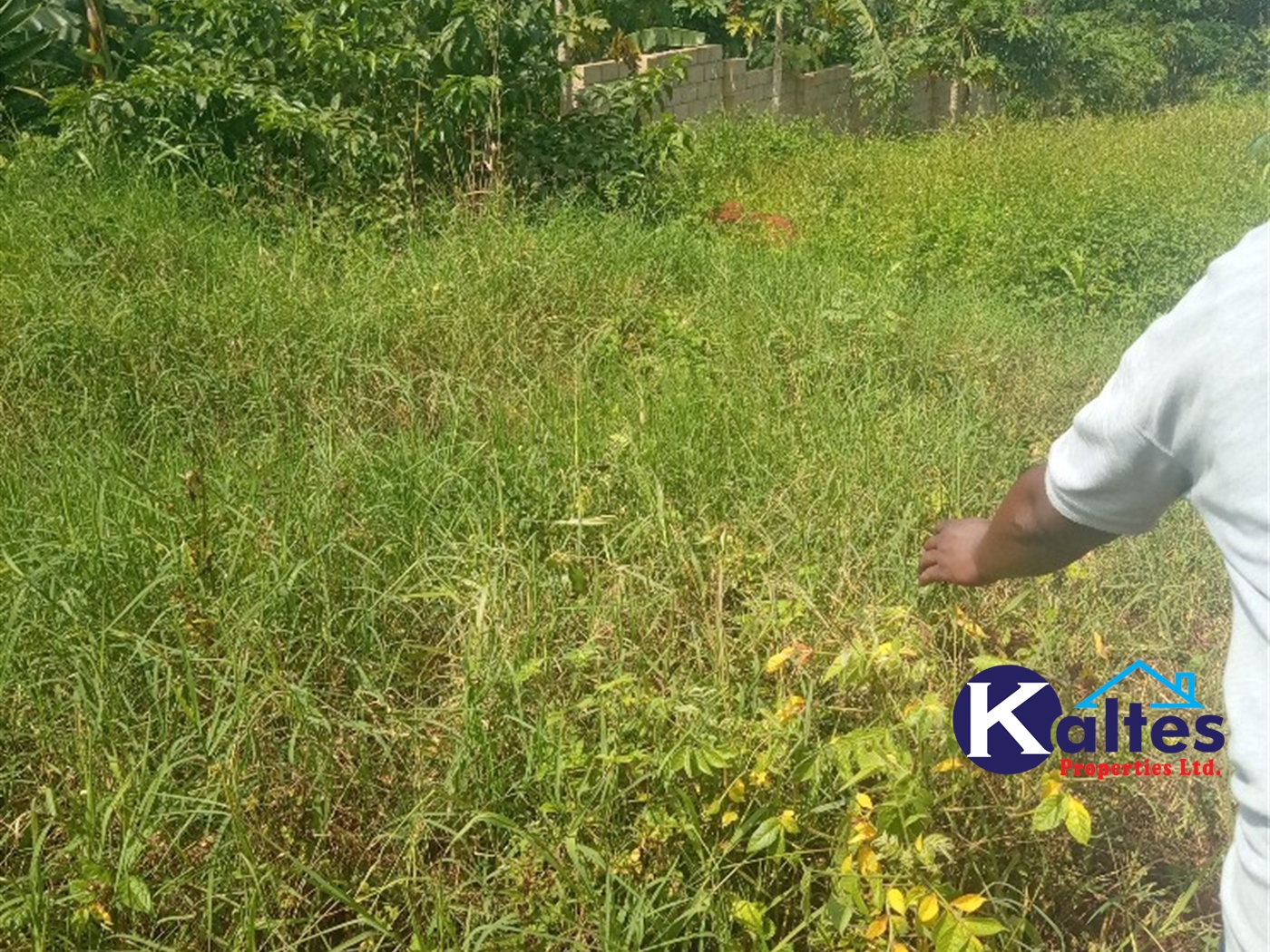 Agricultural Land for sale in Kayonza Kayunga