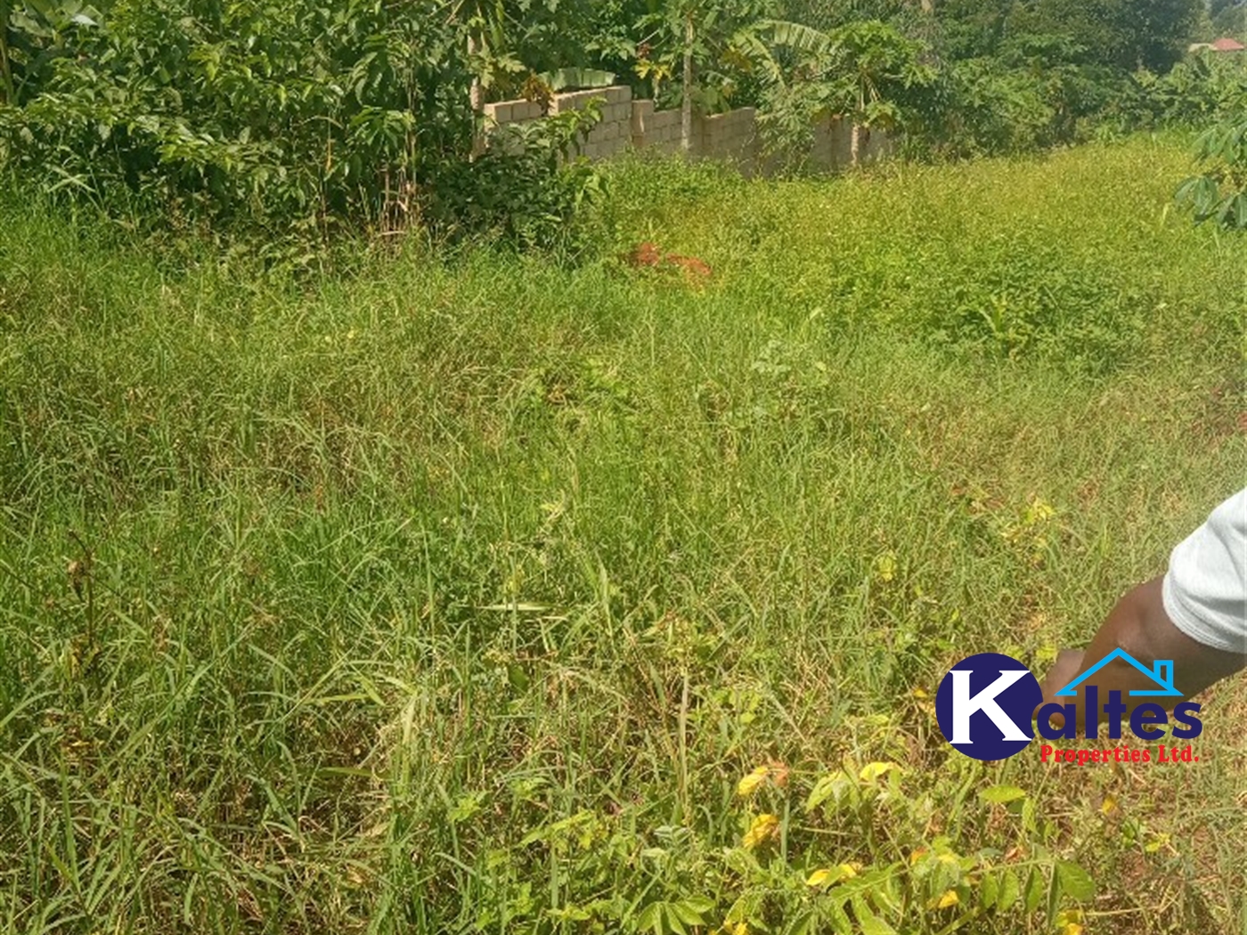 Agricultural Land for sale in Kayonza Kayunga