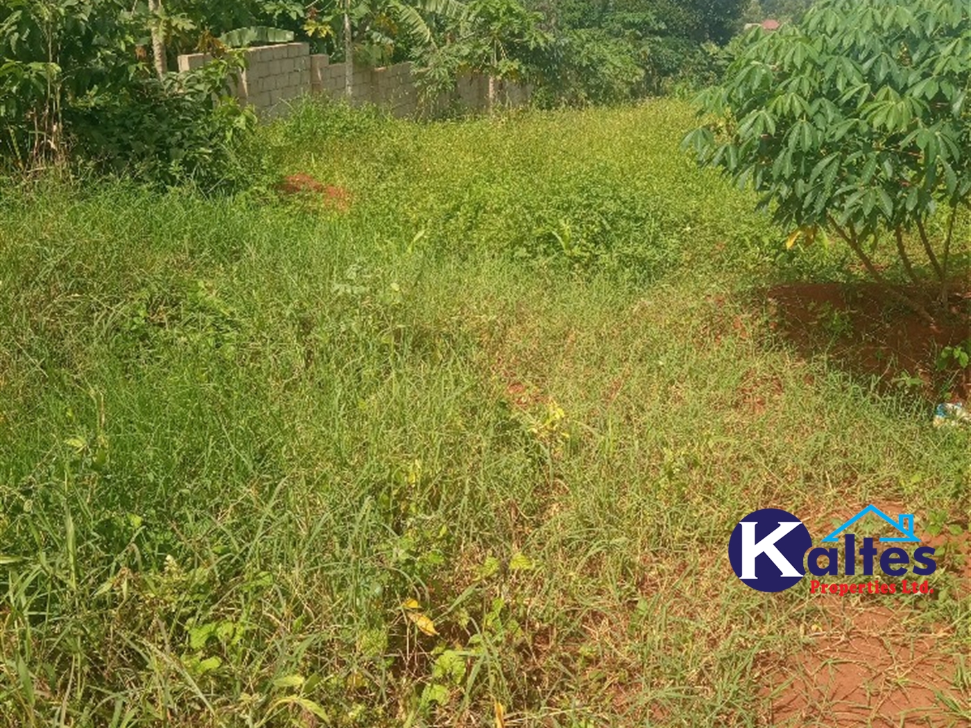 Agricultural Land for sale in Kayonza Kayunga