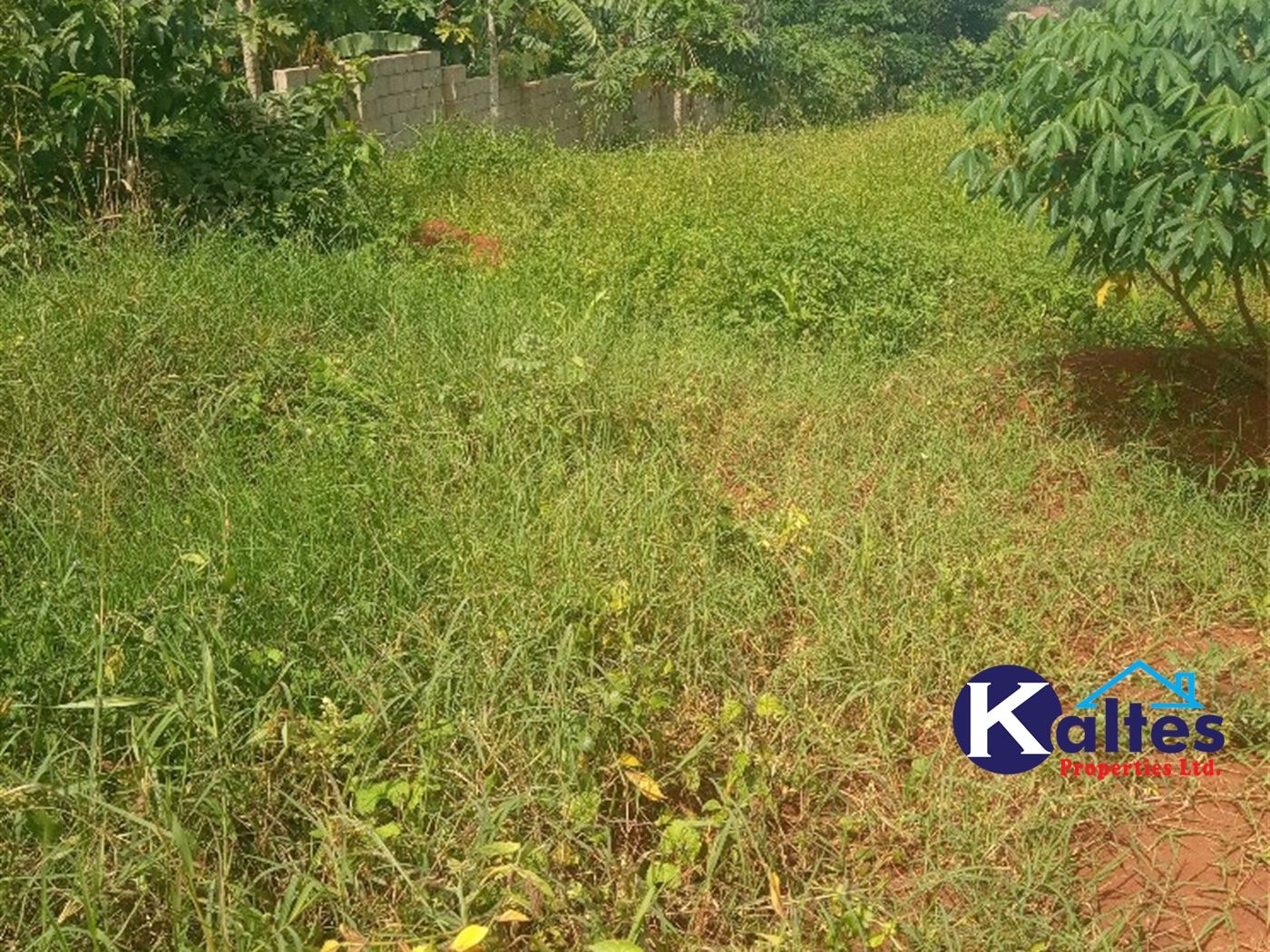 Agricultural Land for sale in Kayonza Kayunga