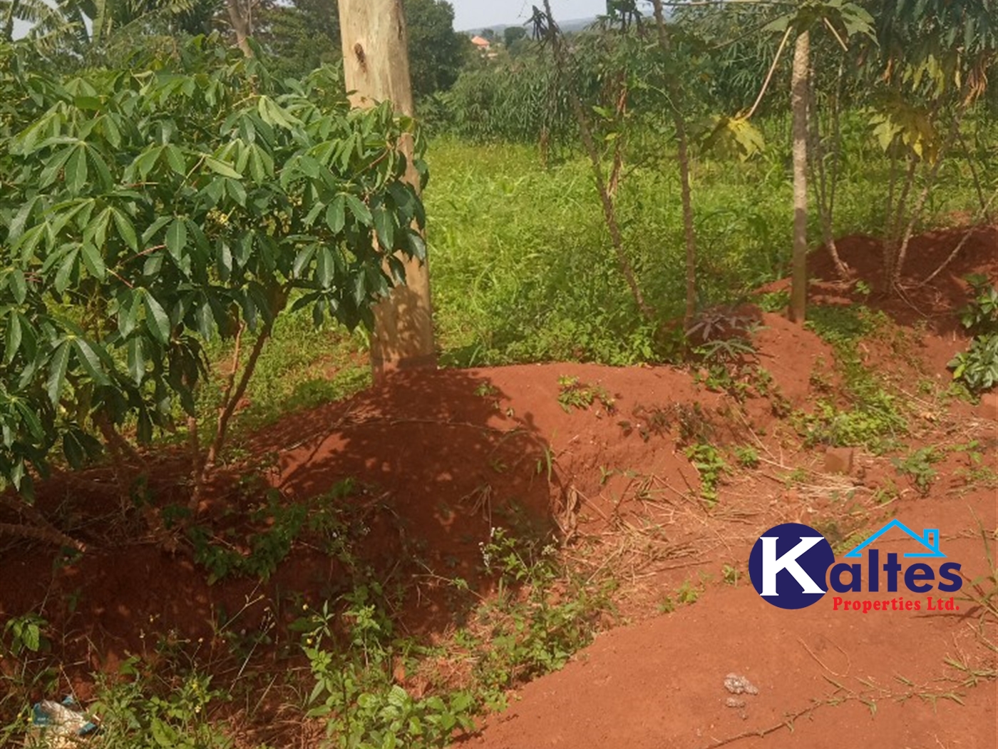 Agricultural Land for sale in Kayonza Kayunga