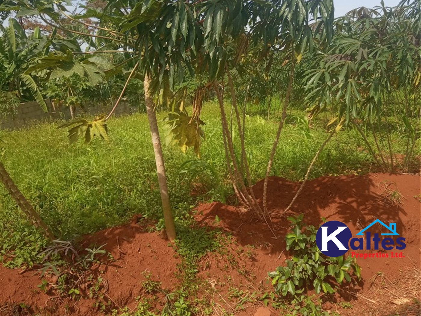 Agricultural Land for sale in Kayonza Kayunga