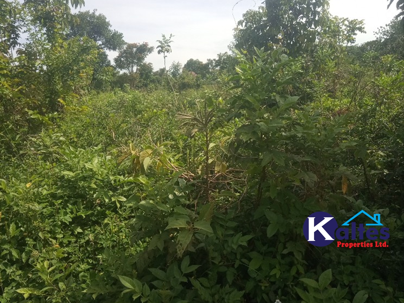 Agricultural Land for sale in Kayonza Kayunga