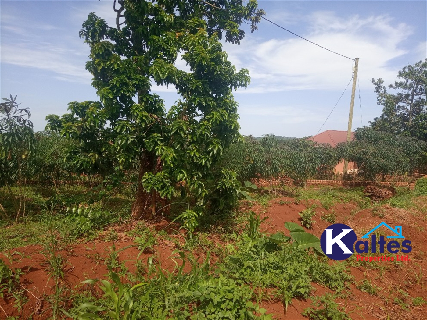 Agricultural Land for sale in Kayonza Kayunga