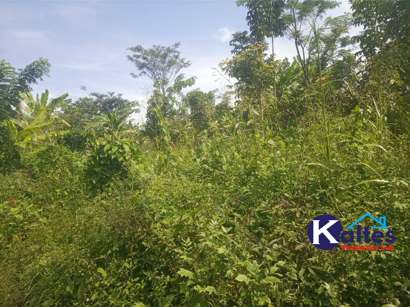 Agricultural Land for sale in Kazinga Kayunga