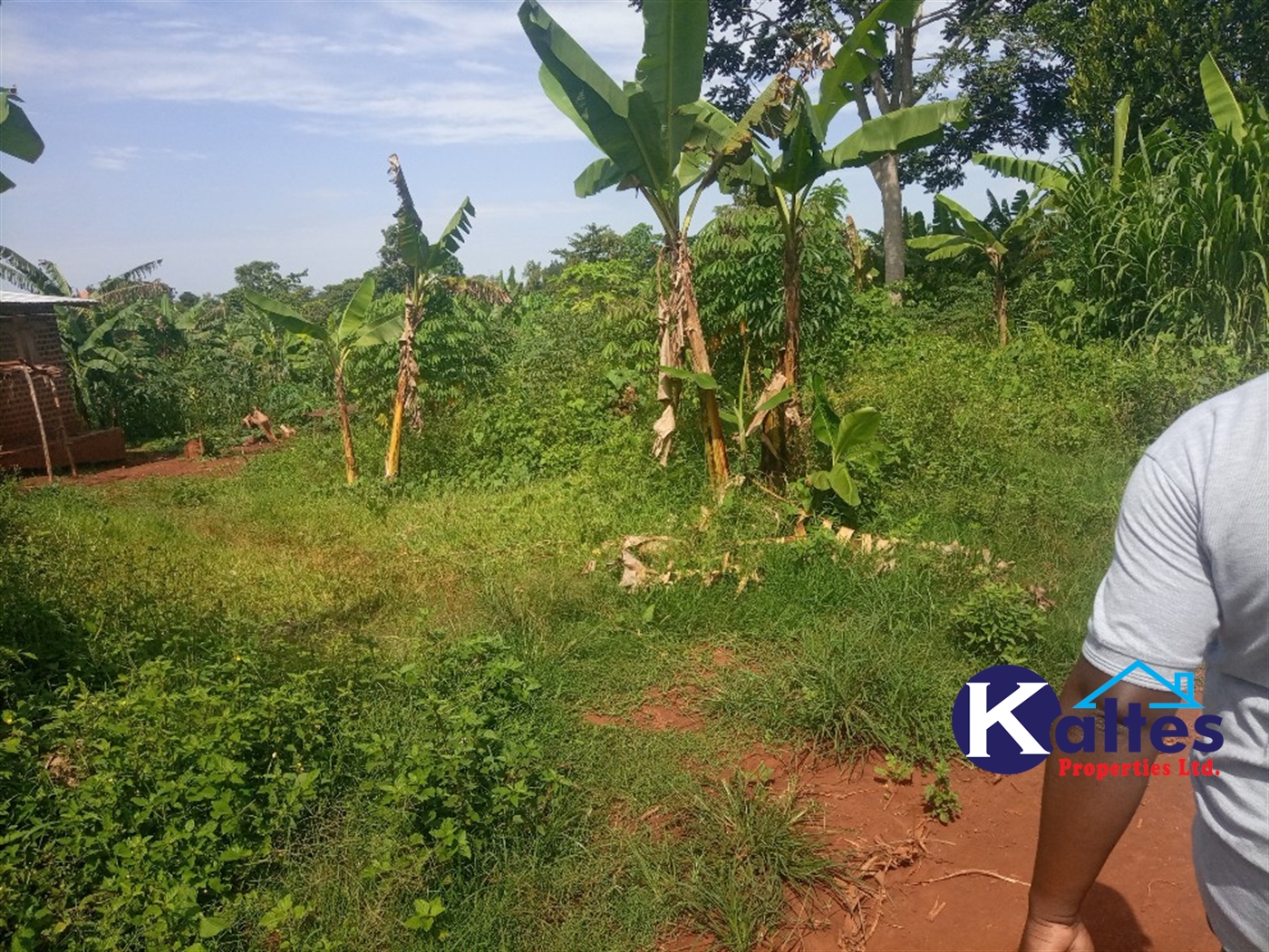 Agricultural Land for sale in Kazinga Kayunga