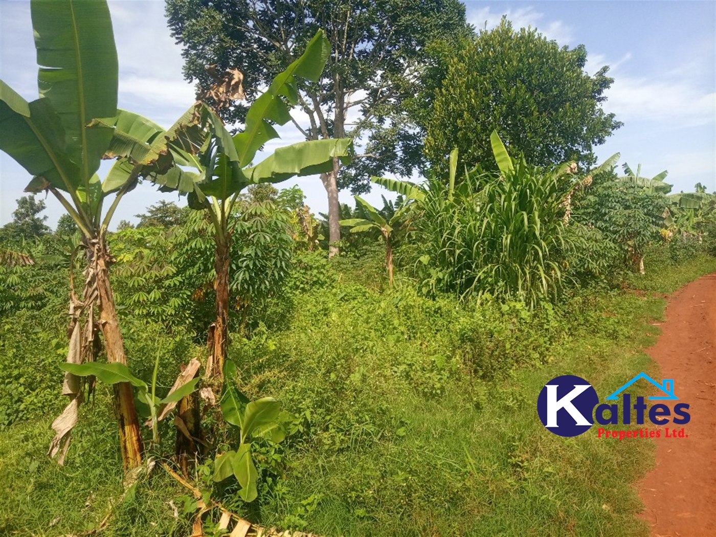 Agricultural Land for sale in Kazinga Kayunga