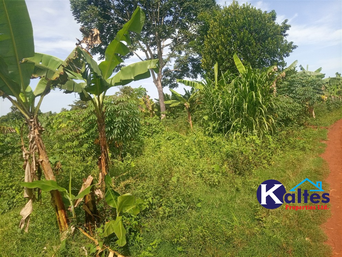 Agricultural Land for sale in Kazinga Kayunga