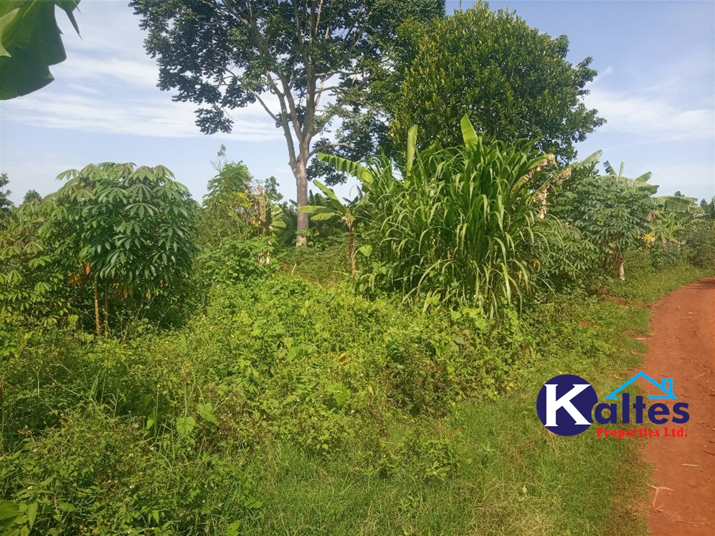 Agricultural Land for sale in Kazinga Kayunga