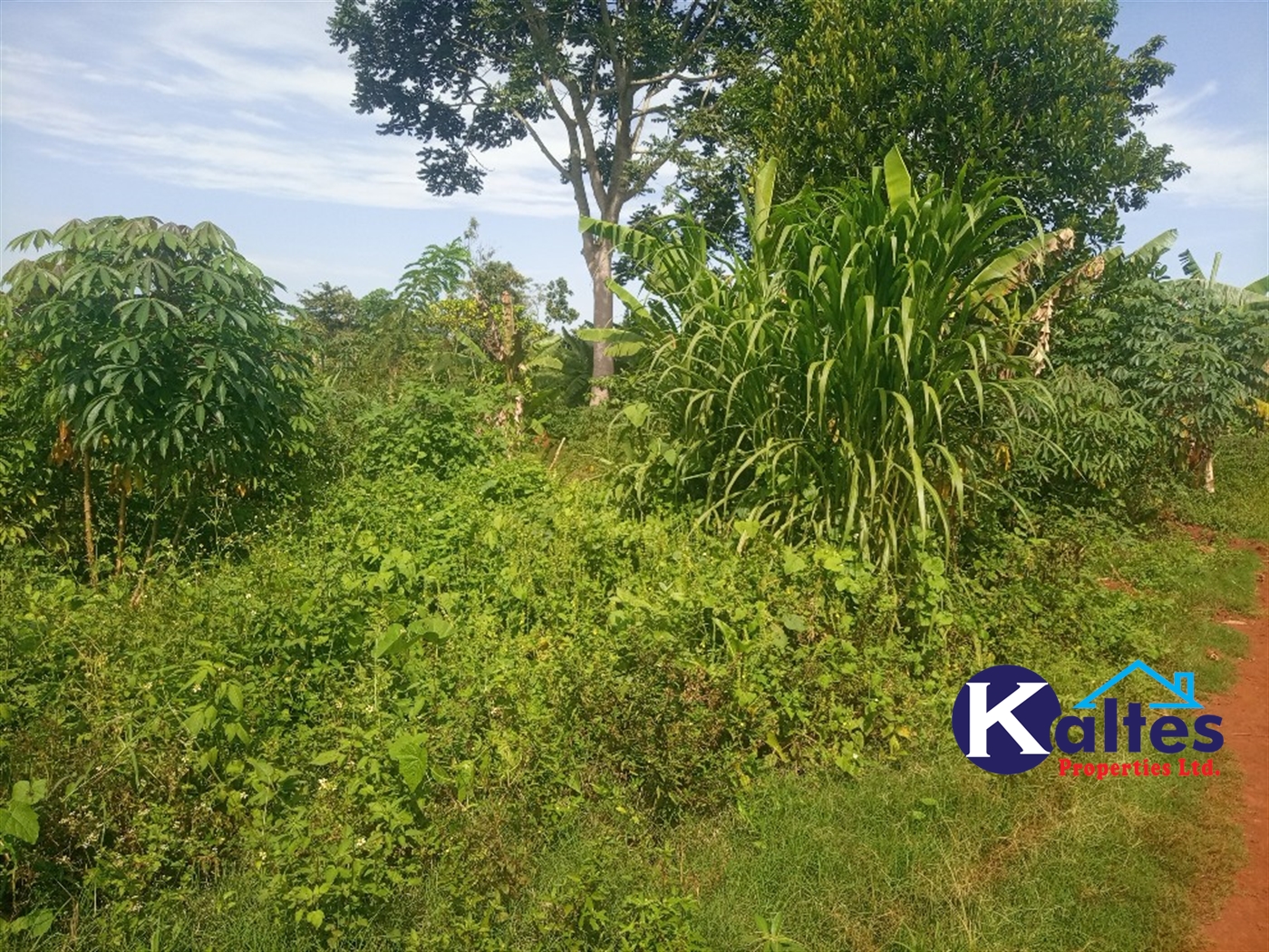 Agricultural Land for sale in Kazinga Kayunga