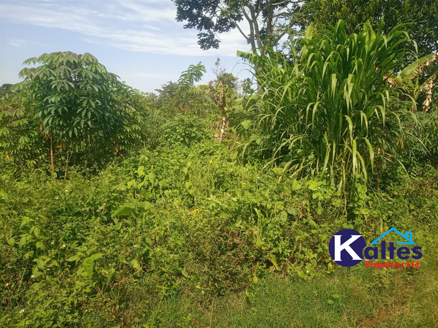 Agricultural Land for sale in Kazinga Kayunga