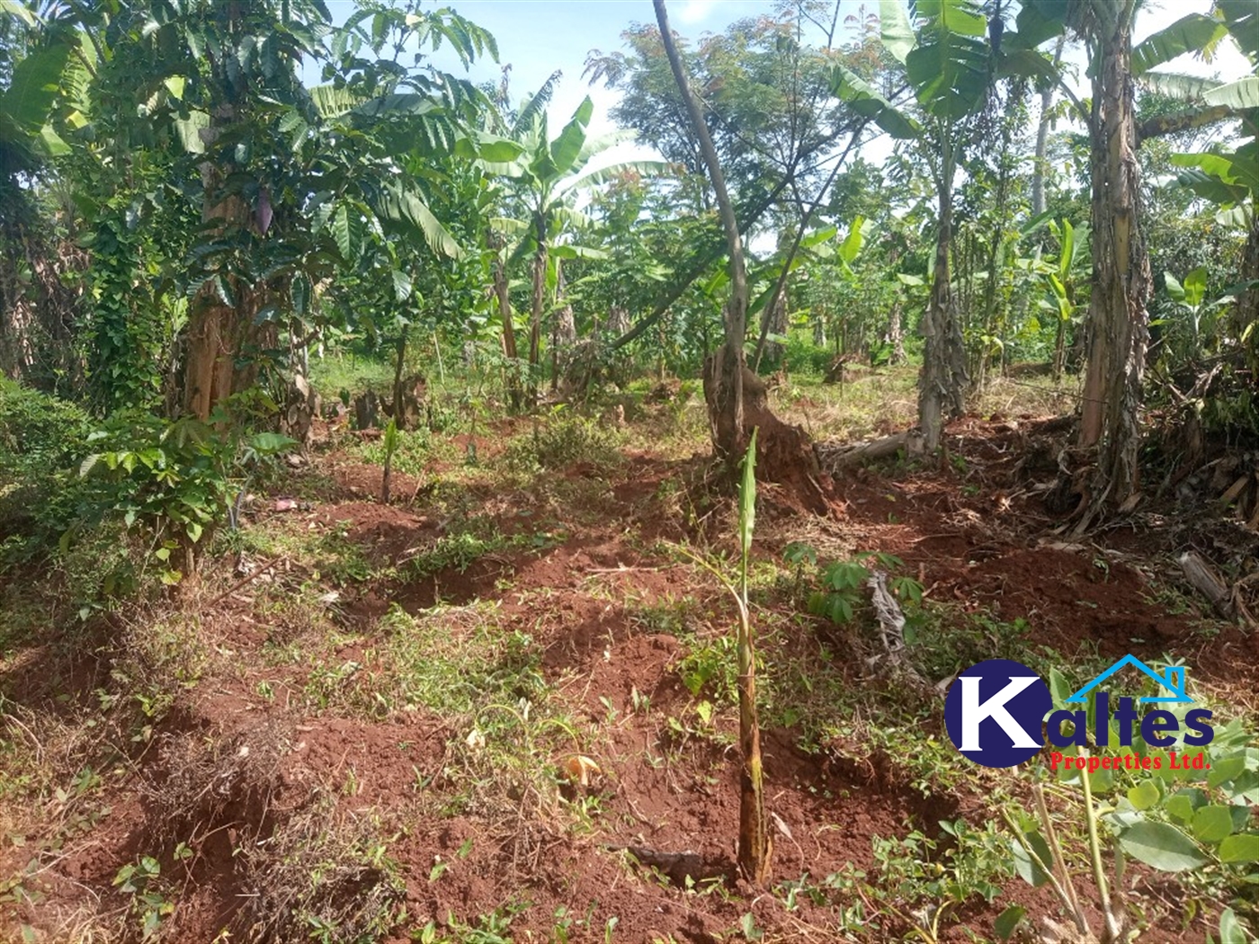 Agricultural Land for sale in Kazinga Kayunga