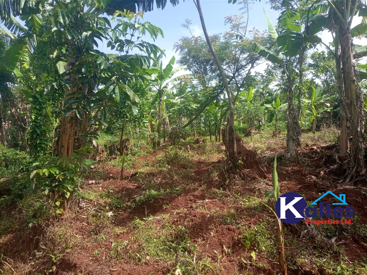 Agricultural Land for sale in Kazinga Kayunga